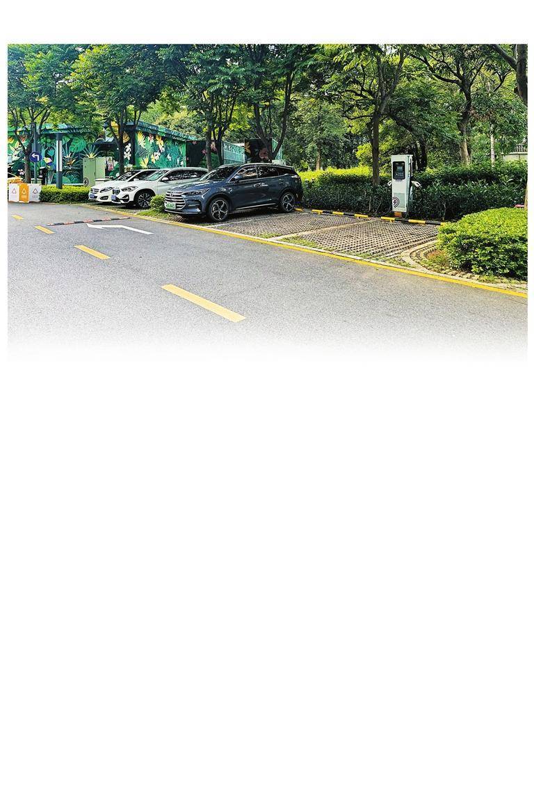 网传深圳热门公园停车位遭黄牛倒卖 记者实地调查 放号秒空，公园停车位被谁“截胡”？
